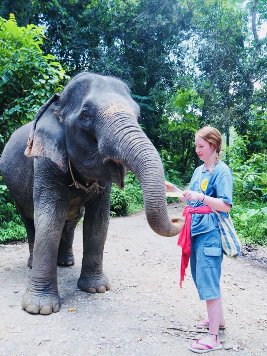 Gallery image for Rafting & Elephant Care By Anda Adventure