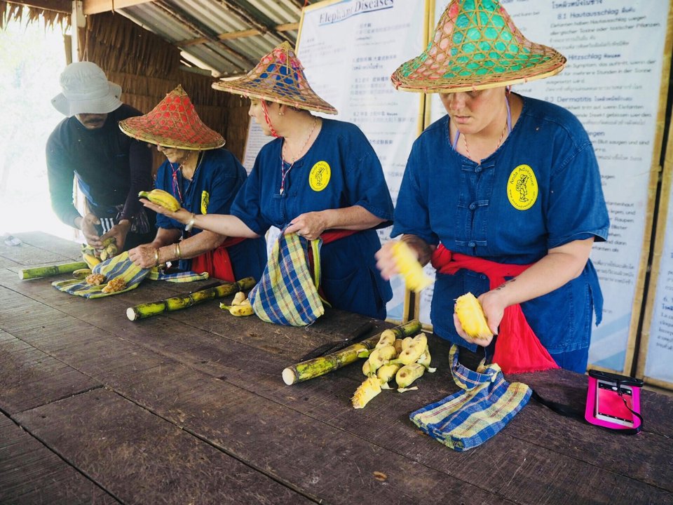 Gallery image for Rafting & Elephant Care By Anda Adventure