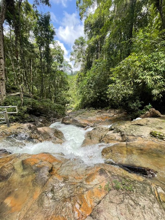 Gallery image for Rafting & Elephant Care By Anda Adventure