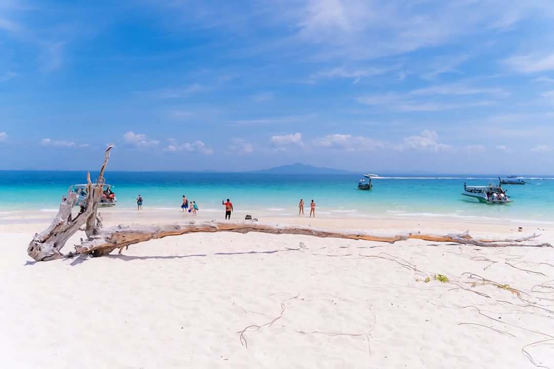 Gallery image for Phi Phi + Maya + Bamboo Island By Speed boat (Premium service)