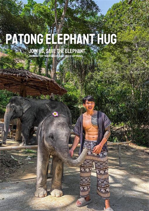 Patong Elephant Hug