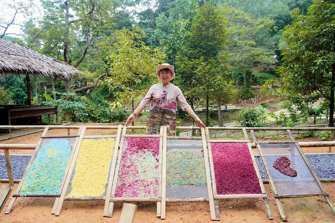 Gallery image for Patong Elephant Hug