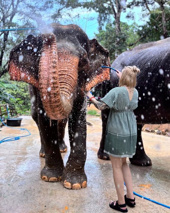 Gallery image for Patong Elephant Hug
