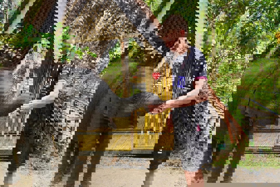 Gallery image for Patong Elephant Hug