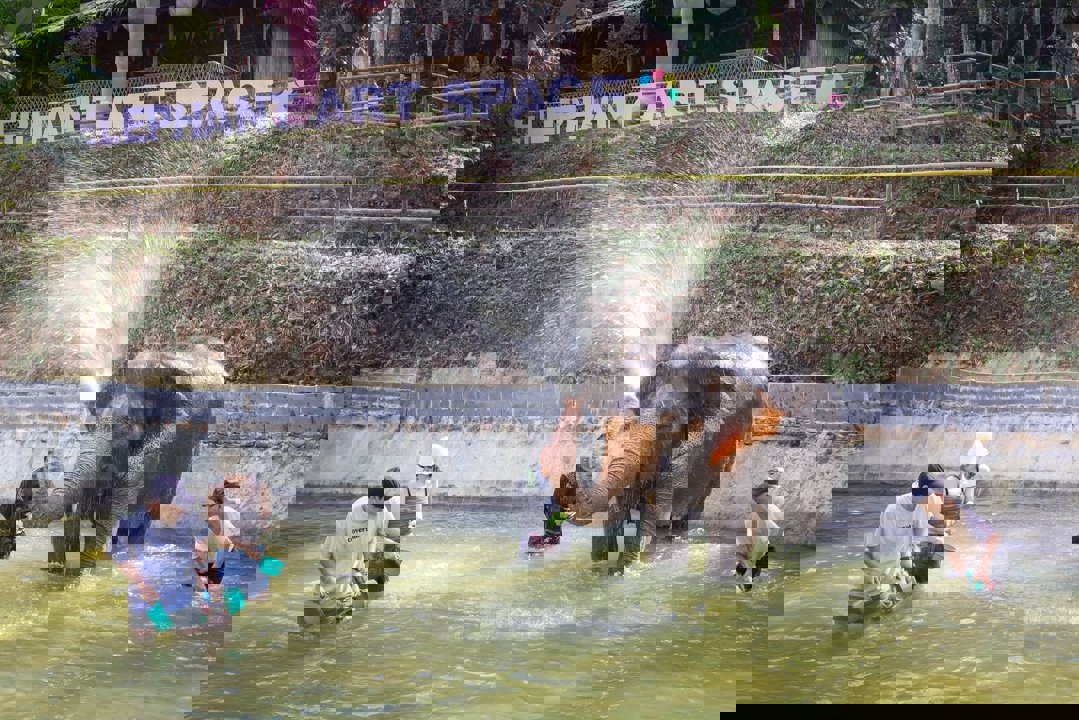 Gallery image for Patong Elephant Hug