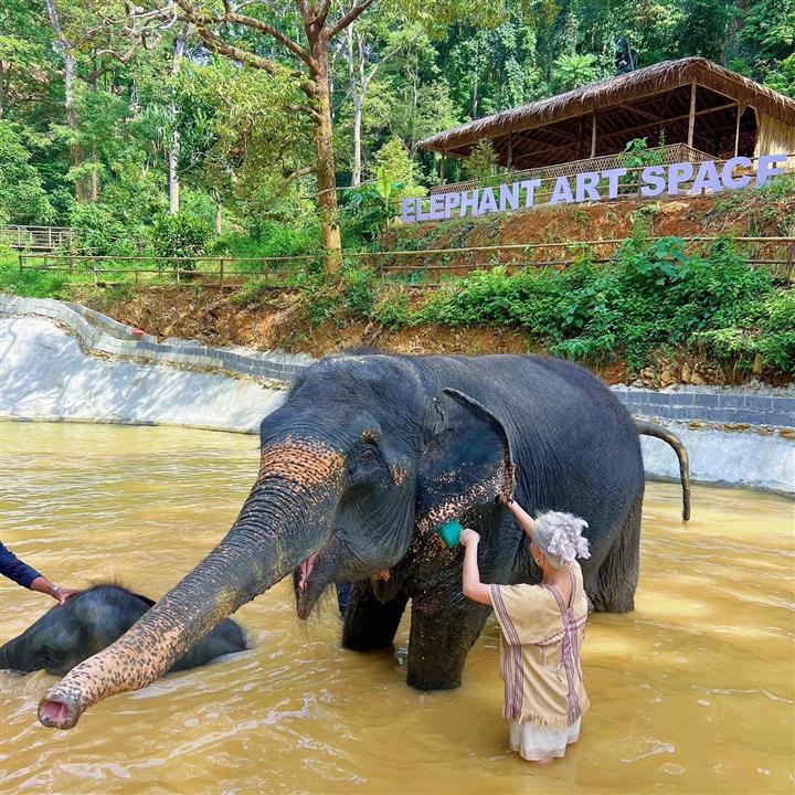 Gallery image for Patong Elephant Hug
