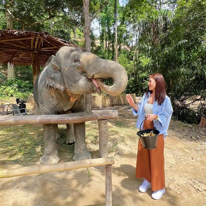 Gallery image for Patong Elephant Hug