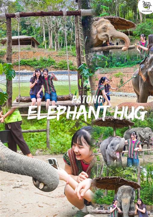 Gallery image for Patong Elephant Hug