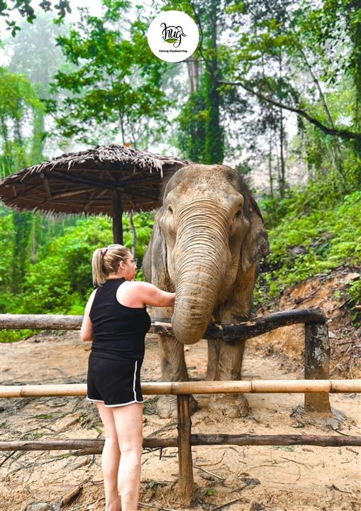 Gallery image for Patong Elephant Hug
