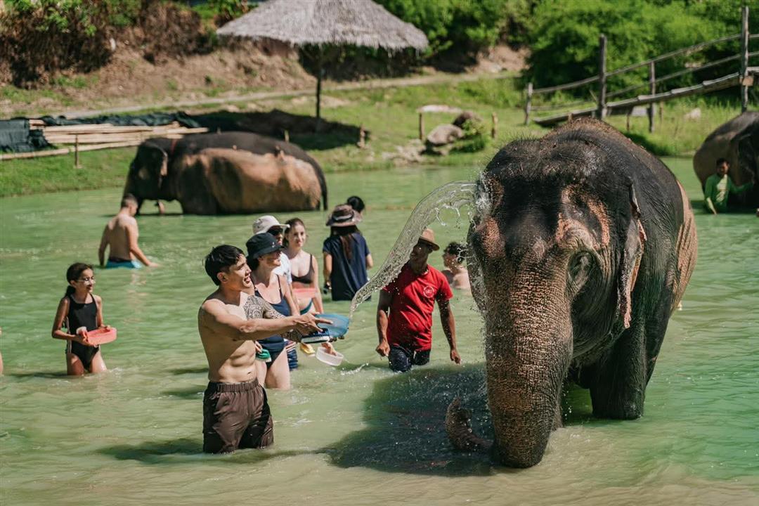 Phuket Elephant Care Sanctuary