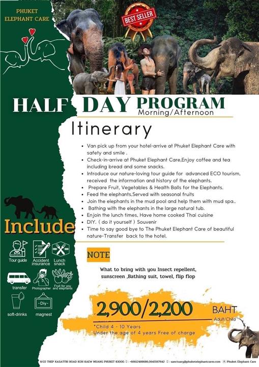 Gallery image for Phuket Elephant Care Sanctuary