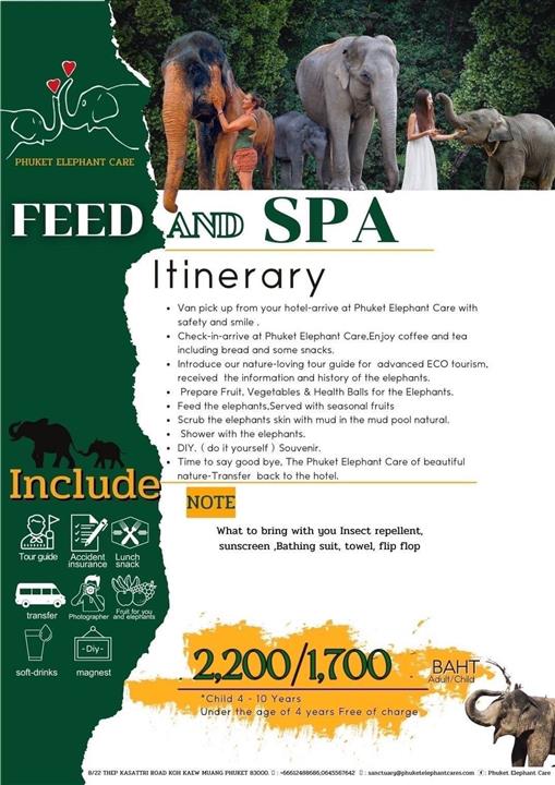 Gallery image for Phuket Elephant Care Sanctuary