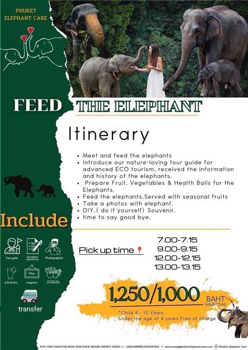 Gallery image for Phuket Elephant Care Sanctuary