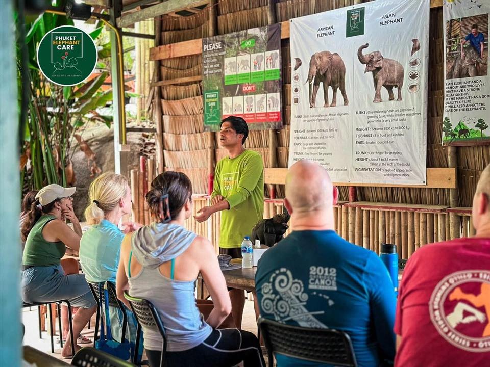 Gallery image for Phuket Elephant Care Sanctuary