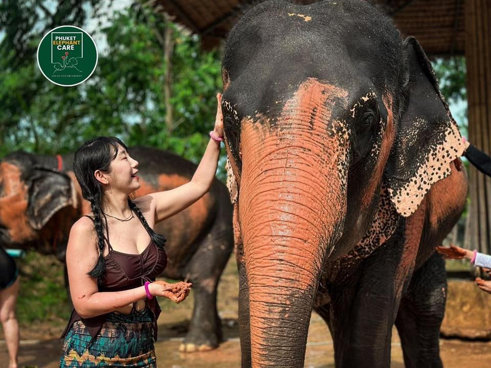 Gallery image for Phuket Elephant Care Sanctuary