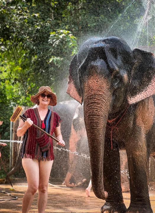 Gallery image for Phuket Elephant Care Sanctuary