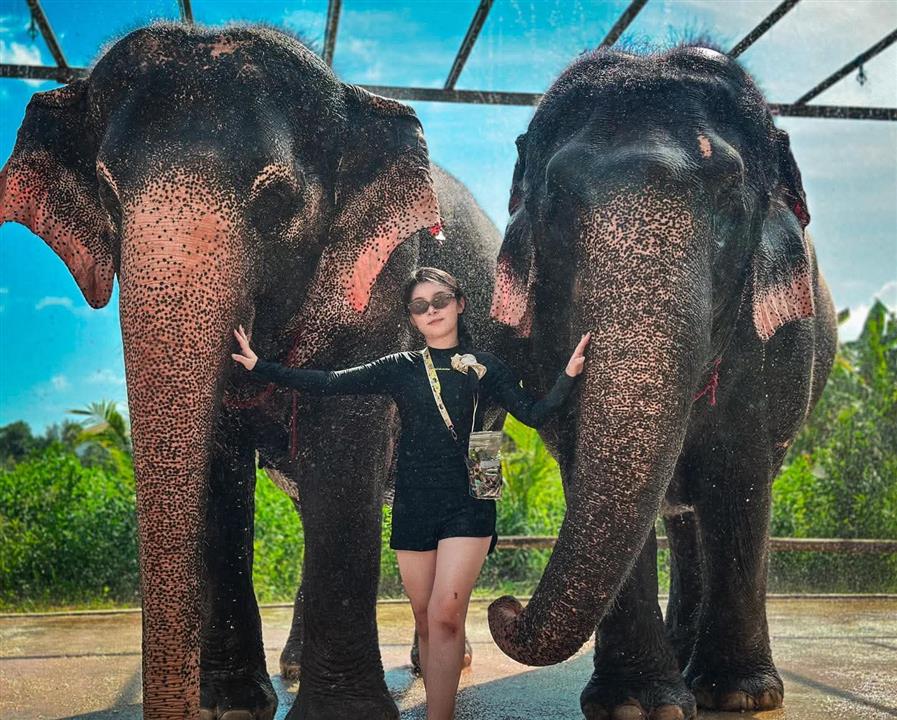 Gallery image for Phuket Elephant Care Sanctuary