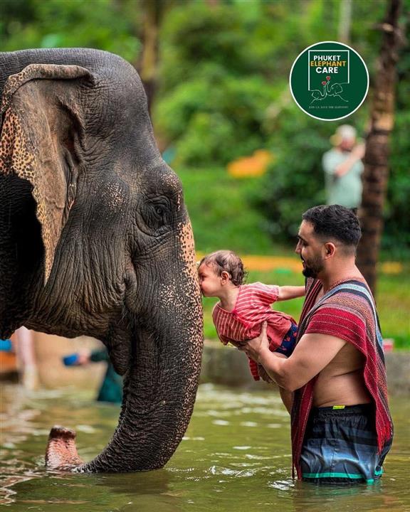 Gallery image for Phuket Elephant Care Sanctuary