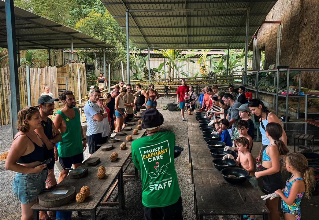 Gallery image for Phuket Elephant Care Sanctuary