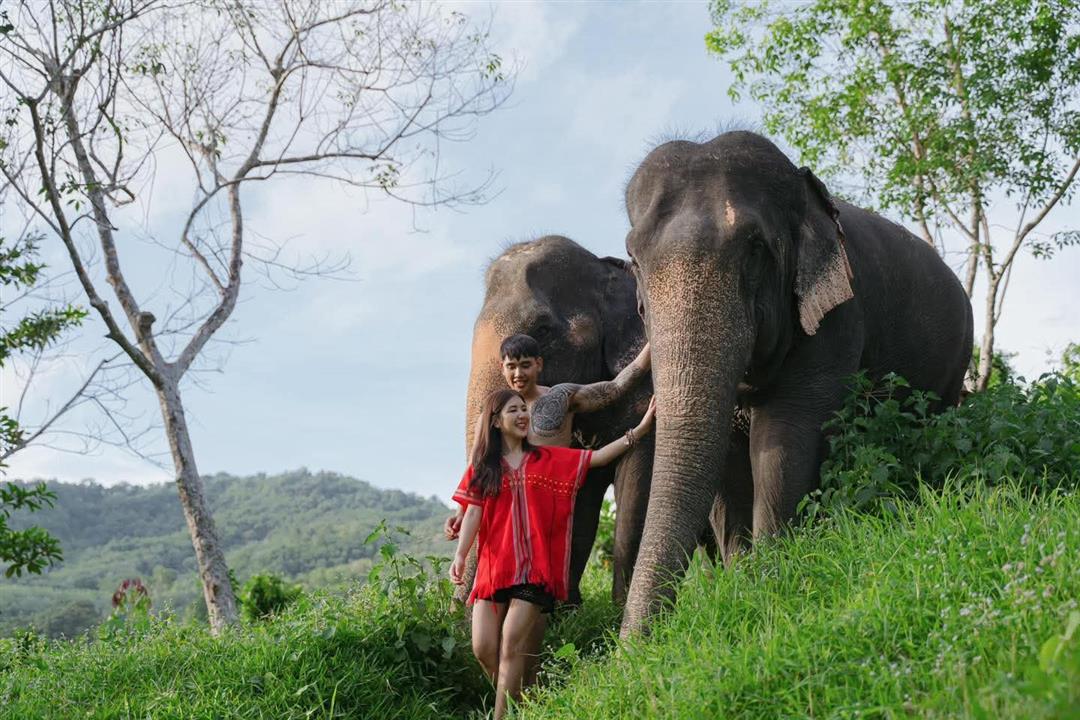 Gallery image for Phuket Elephant Care Sanctuary