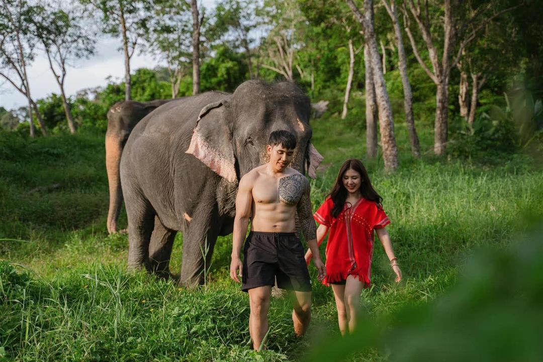 Gallery image for Phuket Elephant Care Sanctuary