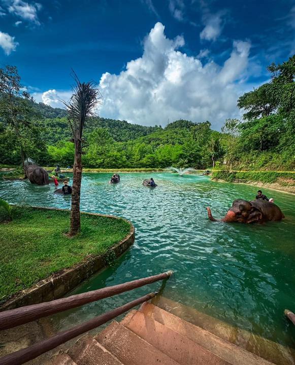 Gallery image for Phuket Elephant Care Sanctuary