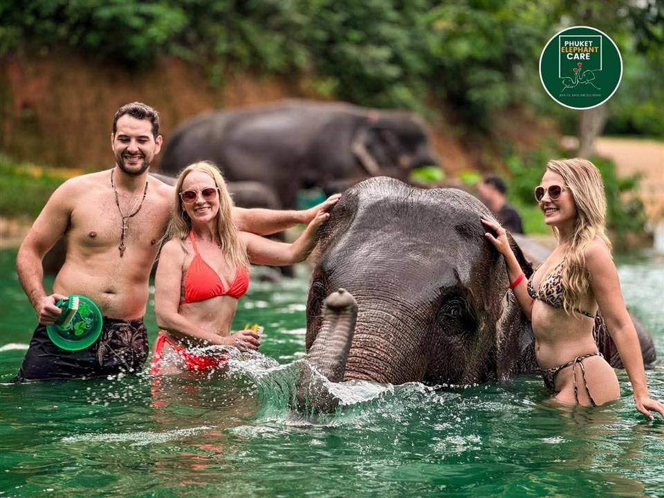 Gallery image for Phuket Elephant Care Sanctuary