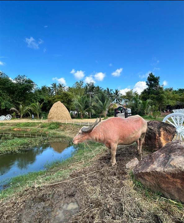 Gallery image for Le' Rafting with Luxury Camp (No Temple)