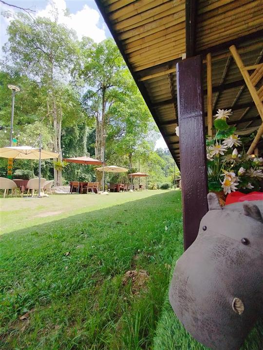 Gallery image for Le' Rafting with Luxury Camp (No Temple)