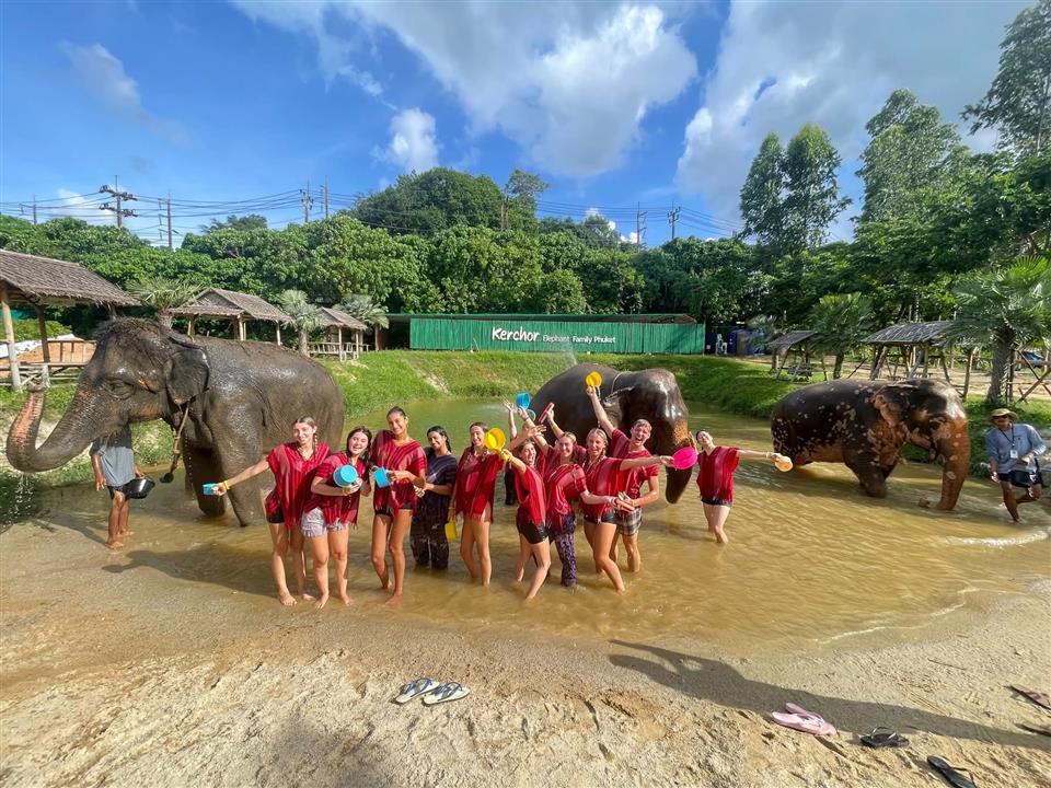 Gallery image for Kerchor Elephant Family