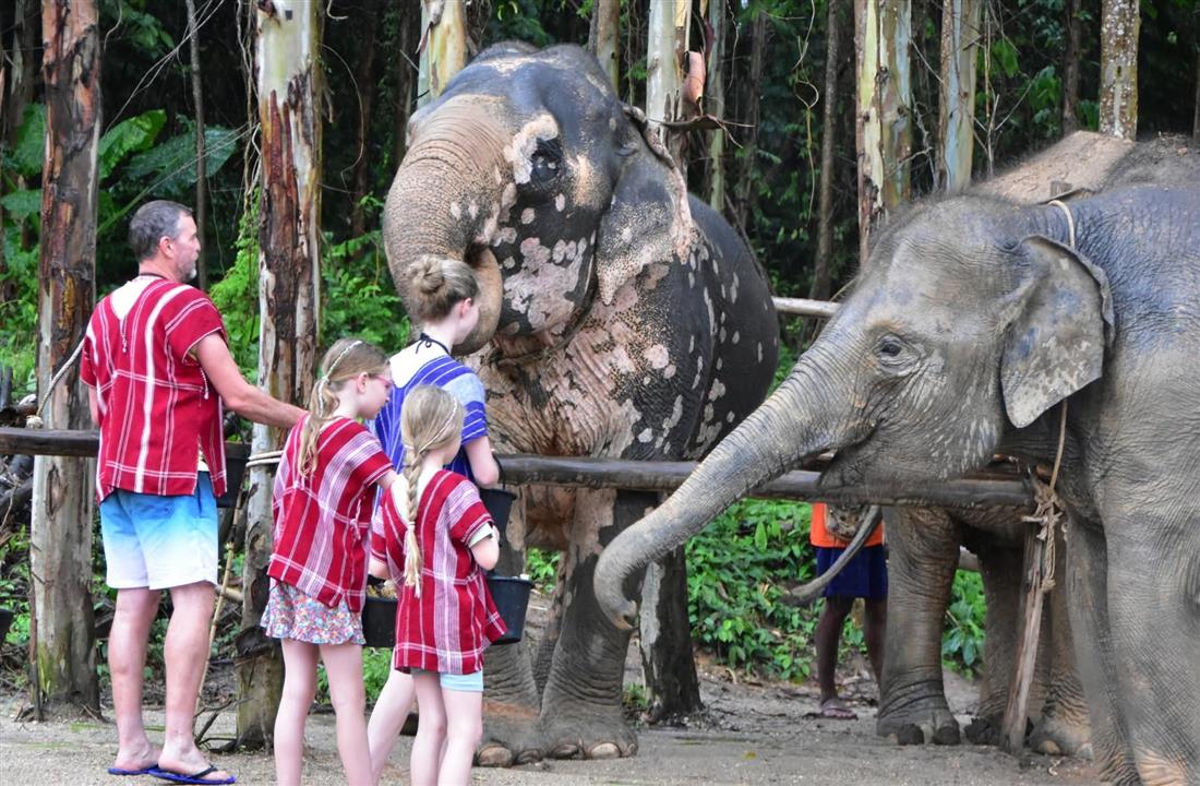 Gallery image for Kerchor Elephant Family