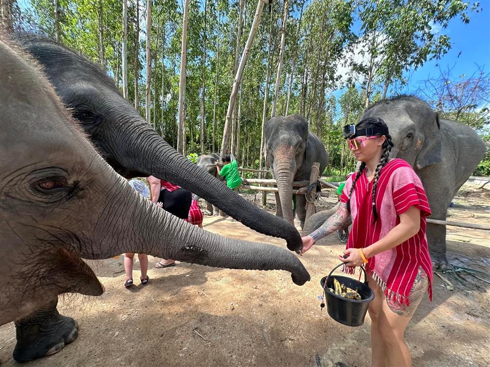 Gallery image for Kerchor Elephant Family