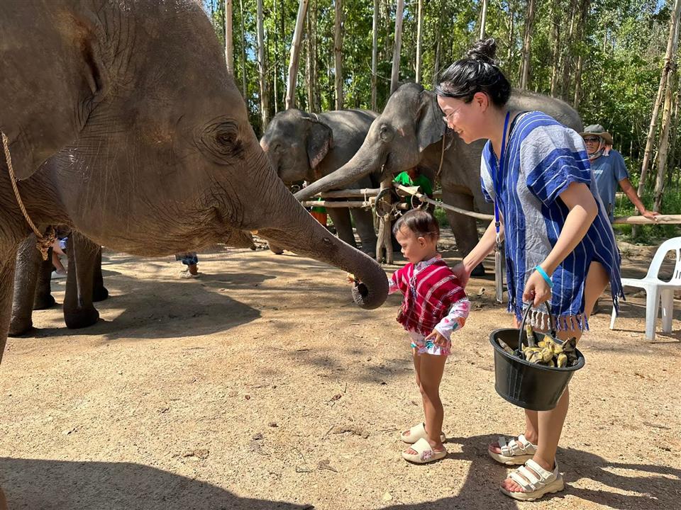 Gallery image for Kerchor Elephant Family