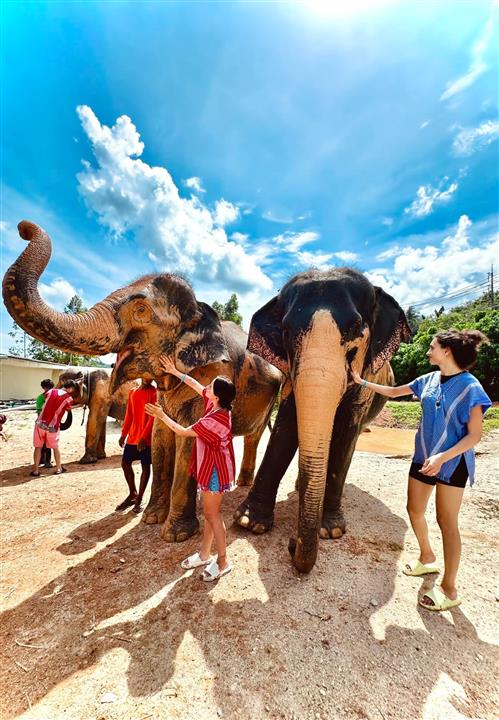 Gallery image for Kerchor Elephant Family