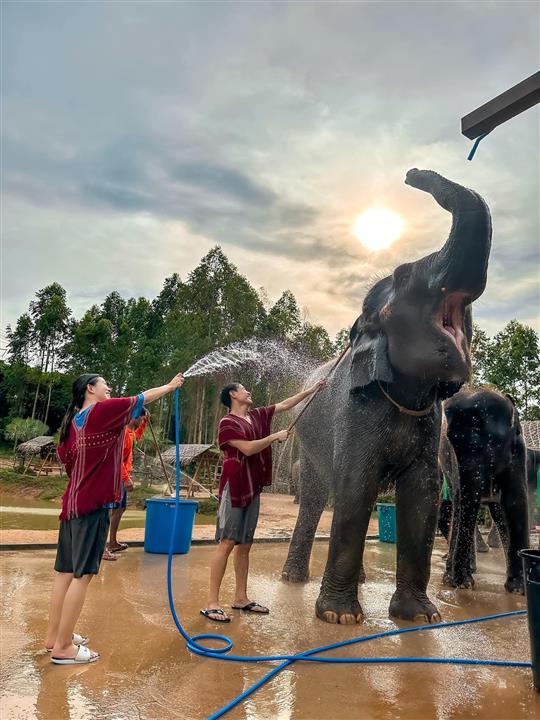 Gallery image for Kerchor Elephant Family