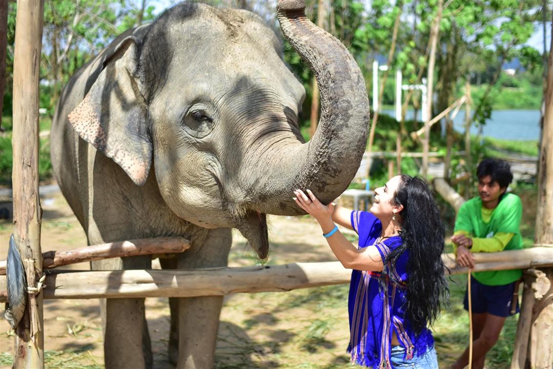 Gallery image for Kerchor Elephant Family