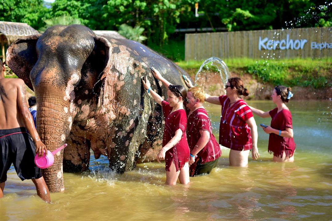 Gallery image for Kerchor Elephant Family