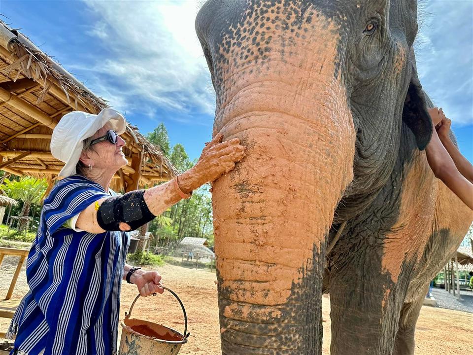 Gallery image for Kerchor Elephant Family