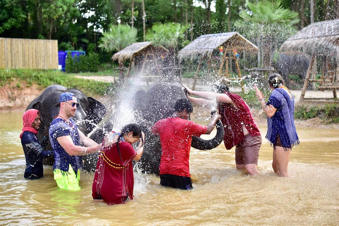 Gallery image for Kerchor Elephant Family