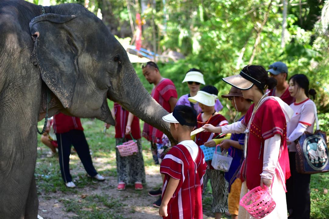 Gallery image for Kerchor Elephant Family