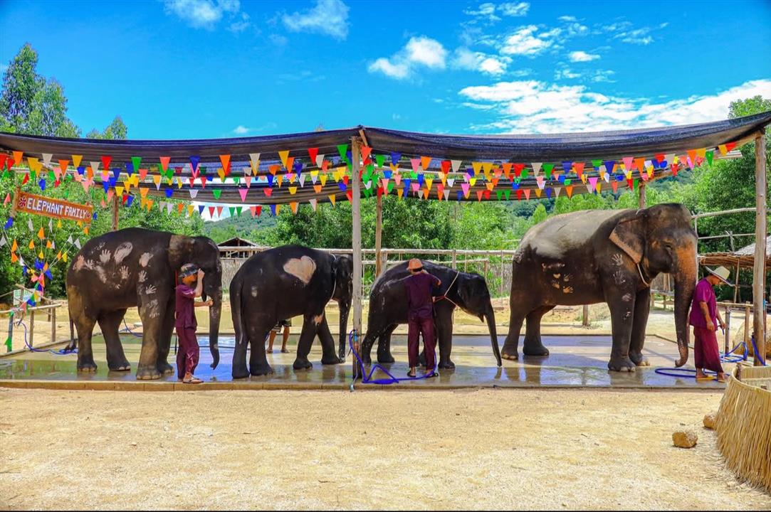 Gallery image for Kerchor Elephant Family