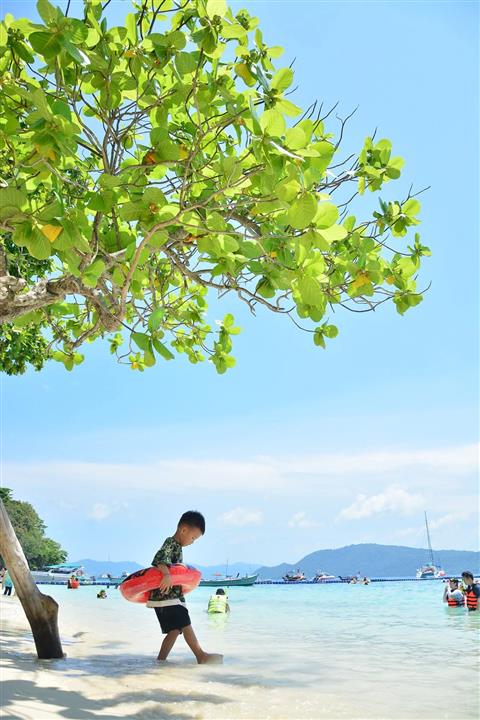 Gallery image for Racha & Coral Island By Sailing Catamaran. 